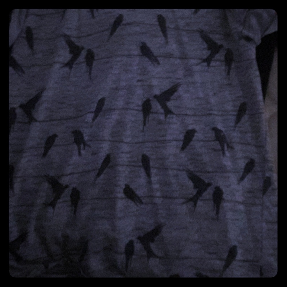 Short with hoddie